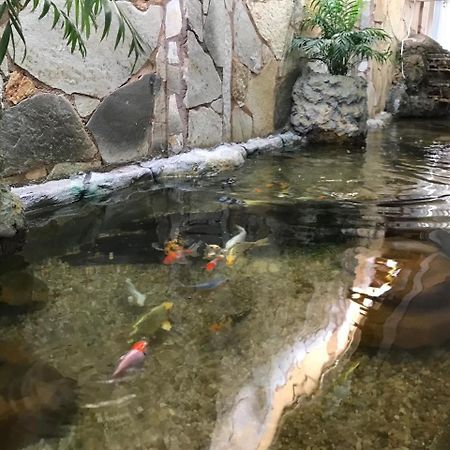 Fronteira Hotel Luz מראה חיצוני תמונה