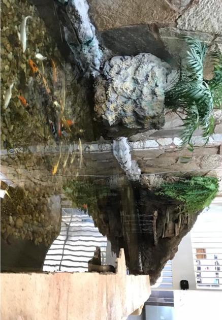Fronteira Hotel Luz מראה חיצוני תמונה