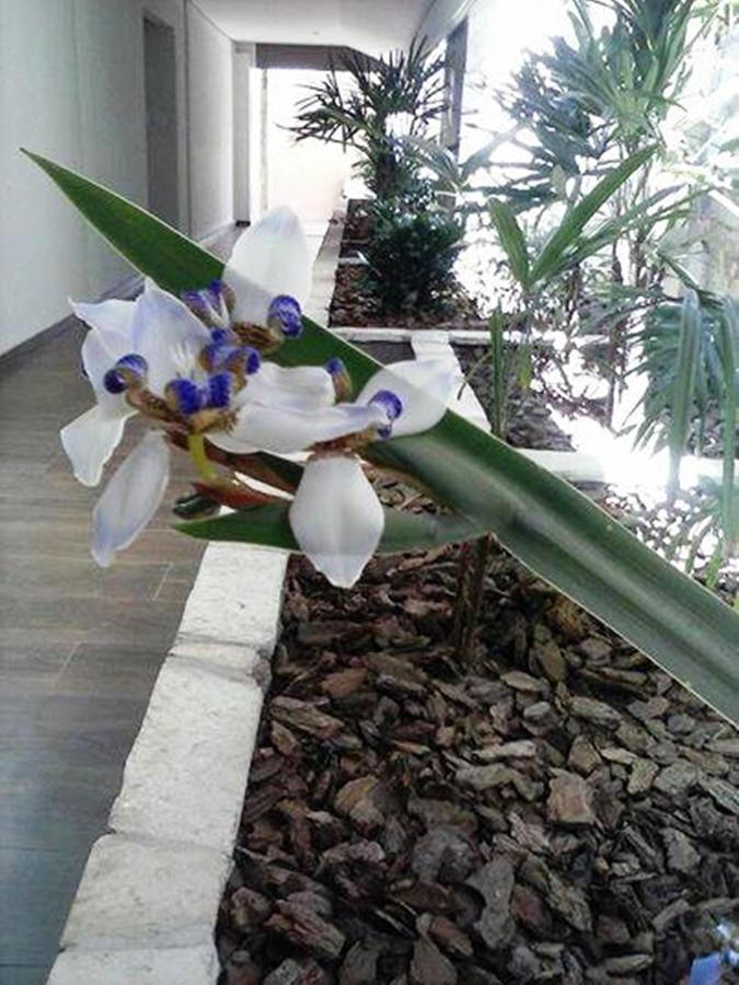 Fronteira Hotel Luz מראה חיצוני תמונה